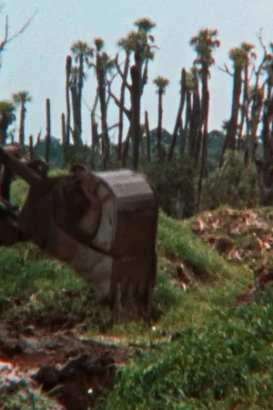 Постер: The Fabricated Wild