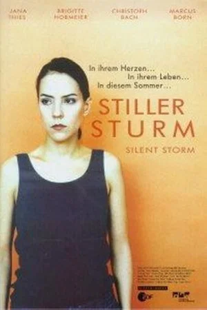 Постер: Silent Storm