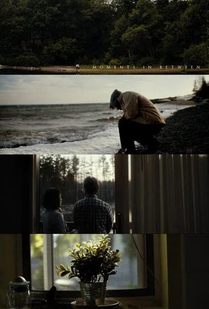 Постер: Moments In Between