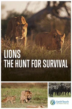 Постер: Lions: The Hunt for Survival