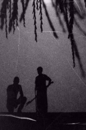 Постер: Beyond the Shadows