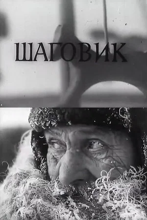 Постер: Шаговик