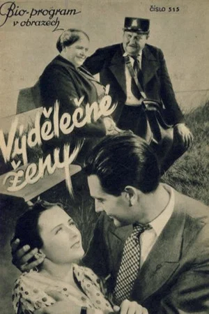 Постер: Výdělečné ženy