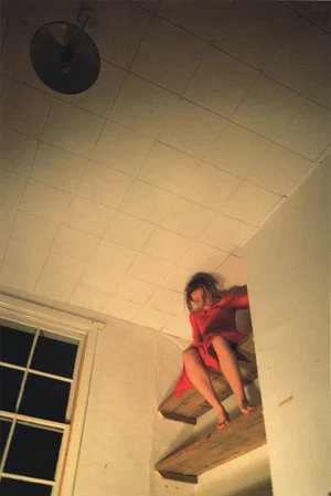 Постер: Climbing Around My Room