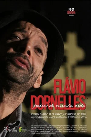 Постер: Flávio Dornelles – Palcos de Minha Vida