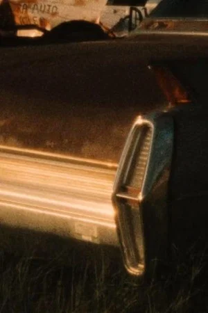Постер: The Last Dust Bowl
