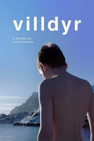 Постер: Wild Beasts