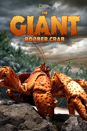 Постер: The Giant Robber Crab