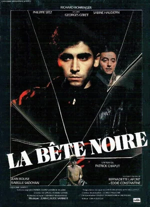 Постер: La Bête noire