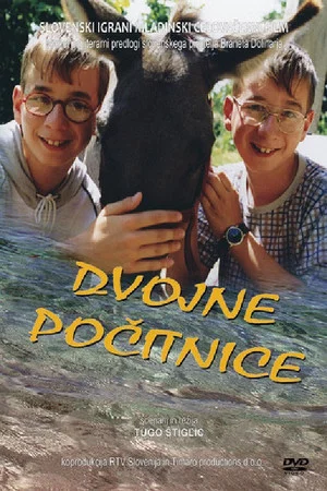 Постер: Double Holidays