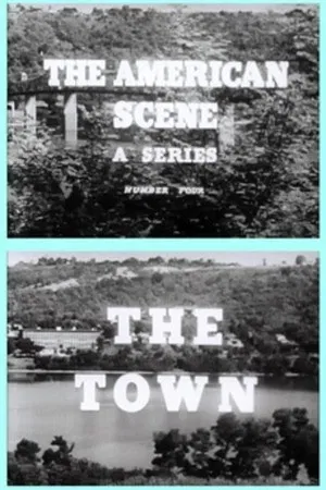 Постер: The Town