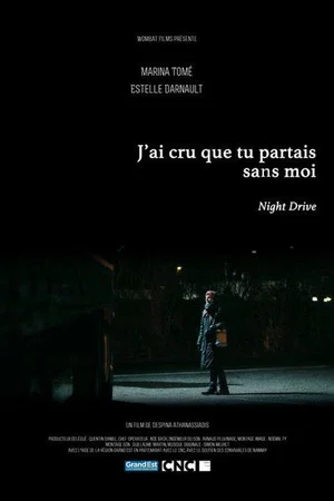 Постер: Night Drive