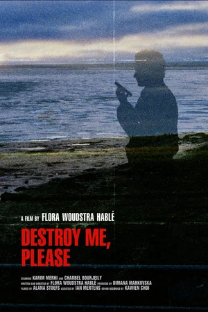 Постер: Destroy me, please