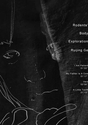 Постер: Rodents' Body Exploration
