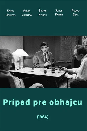 Постер: Prípad pre obhajcu