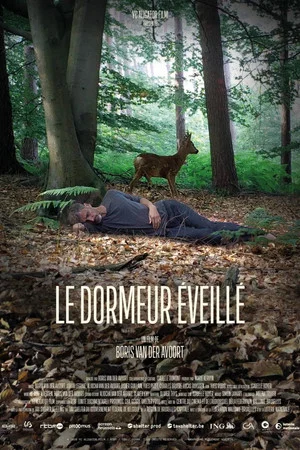Постер: The Wakeful Sleeper