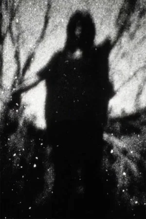 Постер: Signals