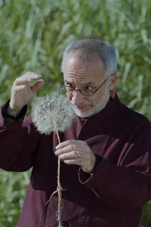 Постер: Holy Wood Dust