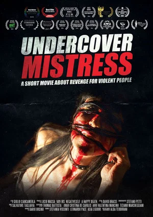 Постер: Undercover Mistress
