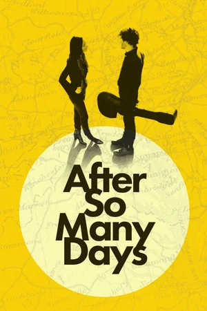 Постер: After So Many Days