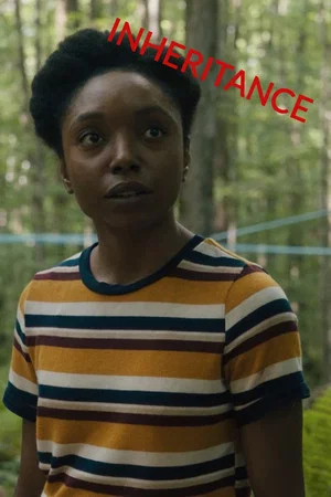 Постер: Inheritance