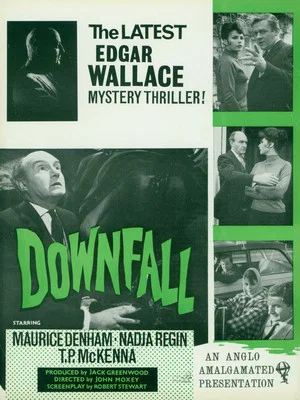 Постер: Downfall