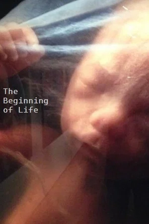Постер: The Beginning of Life