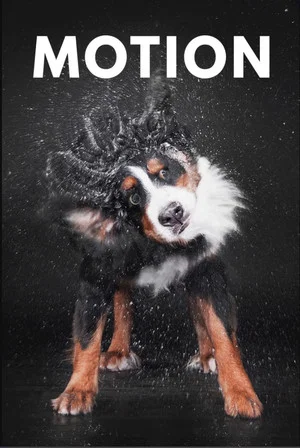 Постер: Motion