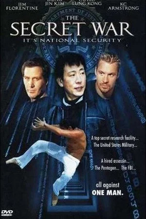 Постер: The Secret War