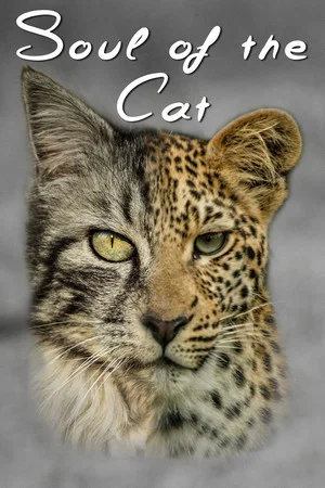 Постер: Soul of The Cat