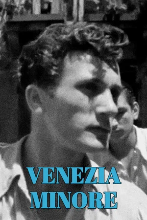 Постер: Venezia Minore