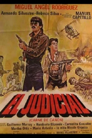 Постер: El judicial