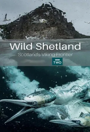 Постер: Wild Shetland: Scotland's Viking Frontier
