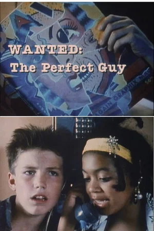 Постер: Wanted: The Perfect Guy