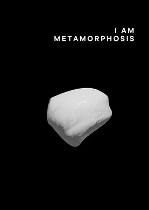 Постер: I am metamorphosis