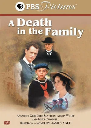 Постер: A Death in the Family