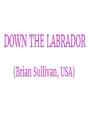 Постер: Down the Labrador
