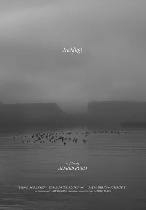 Постер: trækfugl