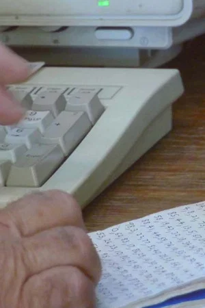 Постер: Data Entry