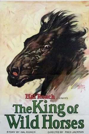 Постер: The King of the Wild Horses