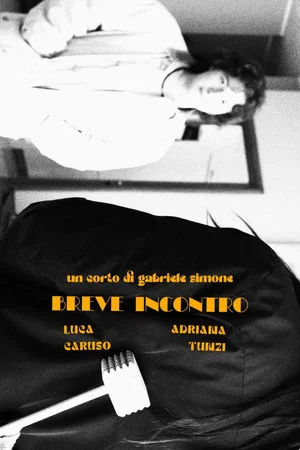 Постер: Brief Encounter