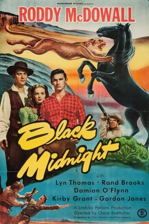Постер: Black Midnight