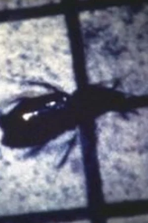 Постер: INSECT