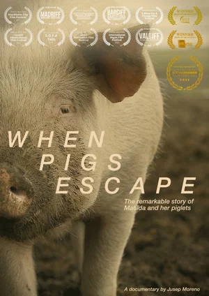 Постер: When Pigs Escape