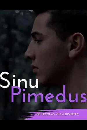 Постер: Sinu Pimedus