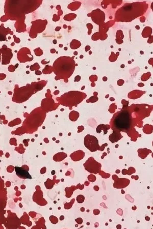 Постер: Primary