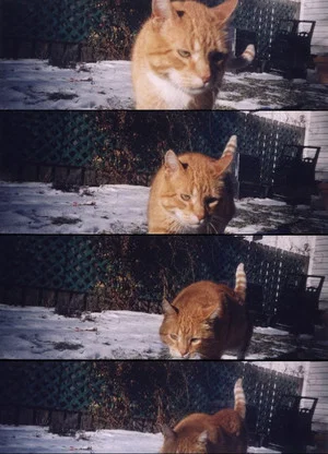 Постер: Nobody Knows