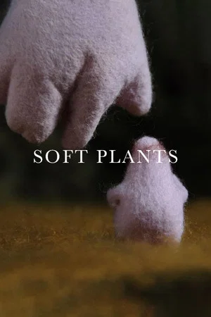 Постер: Soft Plants