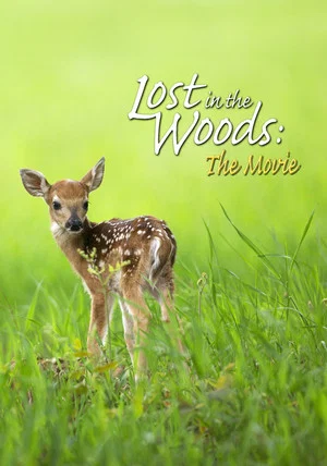 Постер: Lost in the Woods: The Movie
