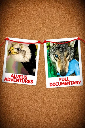 Постер: Alveus Adventures